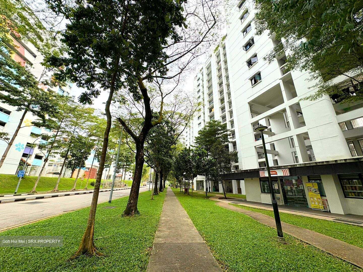 Blk 166A Teck Whye Crescent (Choa Chu Kang), HDB 2 Rooms #561971461